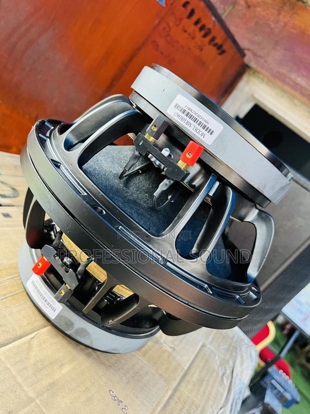 10 Inches Naked Speaker · Photo 2