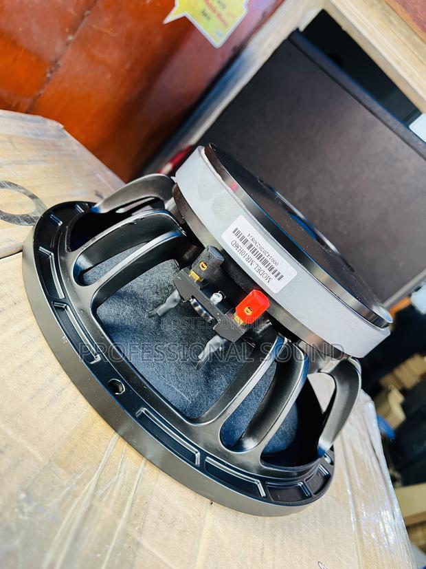 10 Inches Naked Speaker · Photo 1