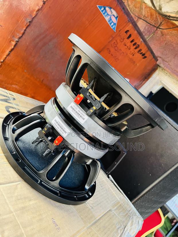 10 Inches Naked Speaker · Photo 3