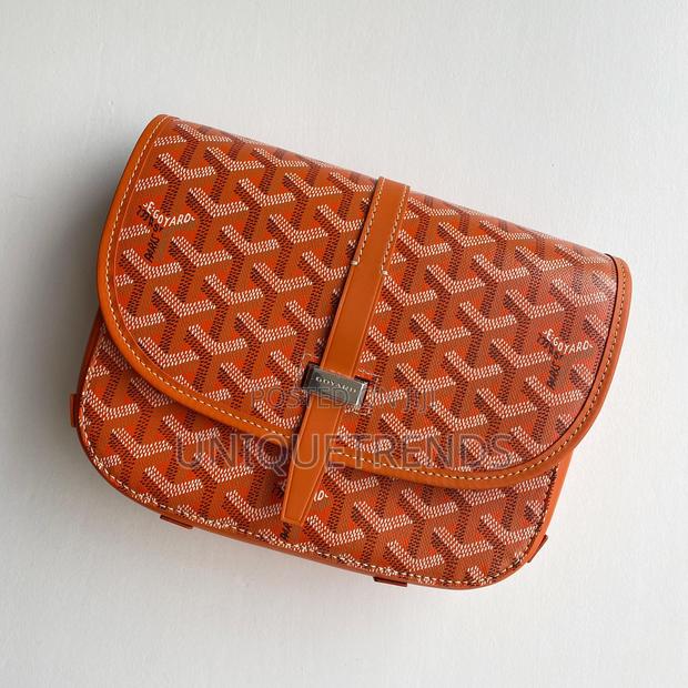 Goyard Unisex Sling Bags · Photo 6