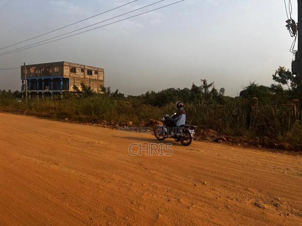 Roadside Land at Doryumu for Sale · Photo 3
