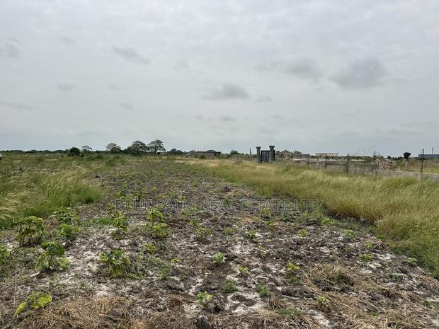 Dawhenya - Secure a Plot Here at Palm Haven Residence · Photo 2