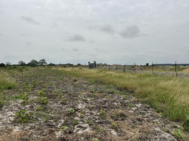 Dawhenya - Secure a Plot Here at Palm Haven Residence · Photo 3