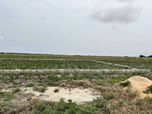 Dawhenya - Secure a Plot Here at Palm Haven Residence · Photo 4