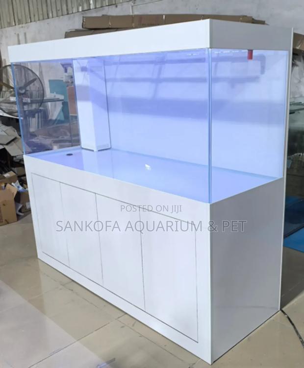 Aquarium Furniture Installation · Photo 1