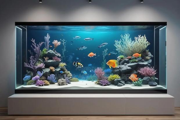 We Build Wall Units Aquarium · Photo 1