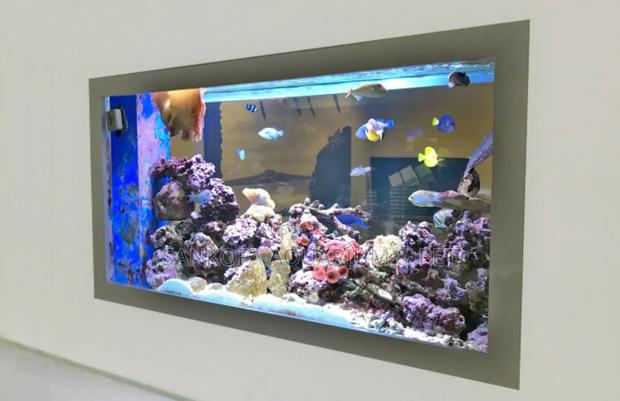 We Build Wall Units Aquarium · Photo 2
