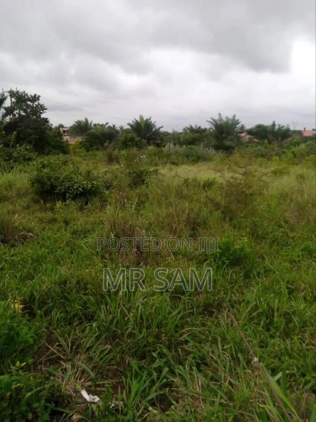 6plot for Sale at Kasoa Ofankor Main Road · Photo 6