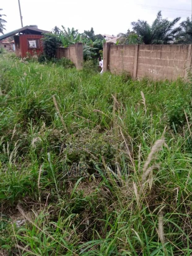 6plot for Sale at Kasoa Ofankor Main Road · Photo 7