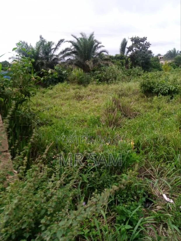 6plot for Sale at Kasoa Ofankor Main Road · Photo 8