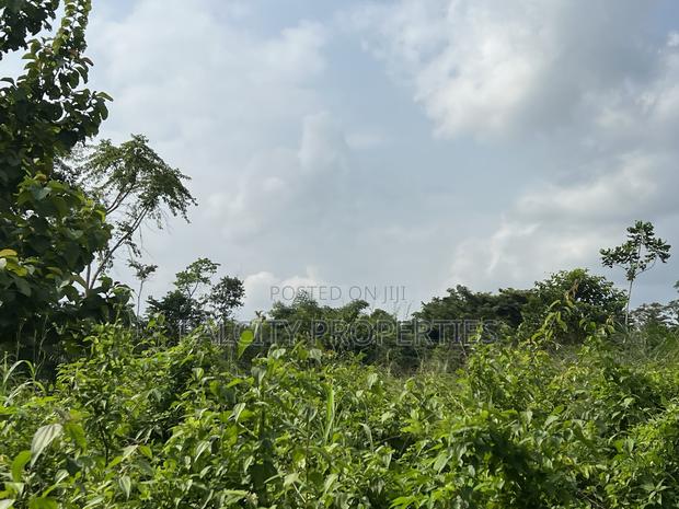 Over 100 Acres of Farm Land for Sale at Senchi · Photo 1