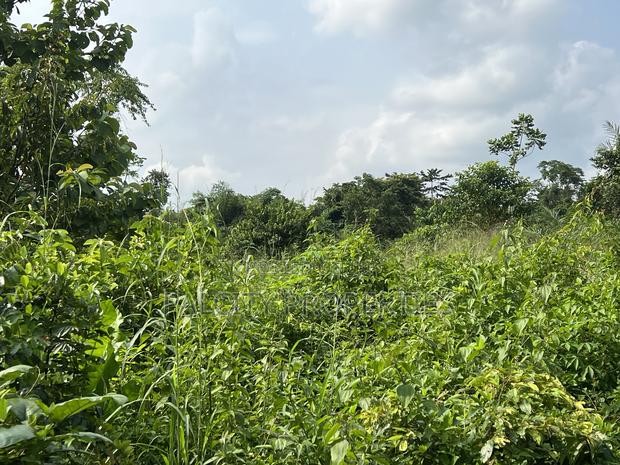 Over 100 Acres of Farm Land for Sale at Senchi · Photo 2