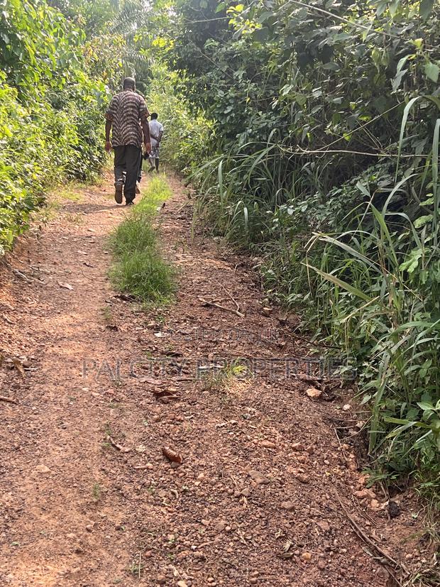 Over 100 Acres of Farm Land for Sale at Senchi · Photo 3