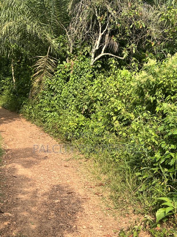 Over 100 Acres of Farm Land for Sale at Senchi · Photo 4