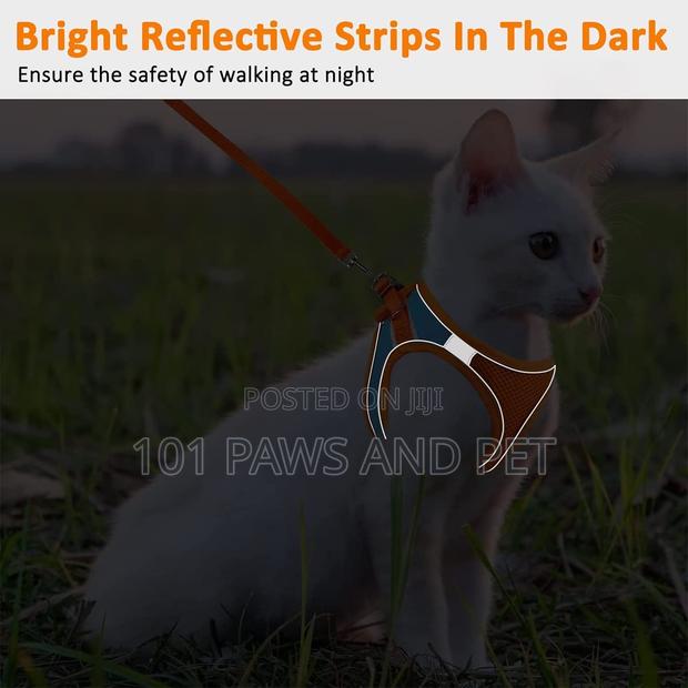 Cat Harness · Photo 3