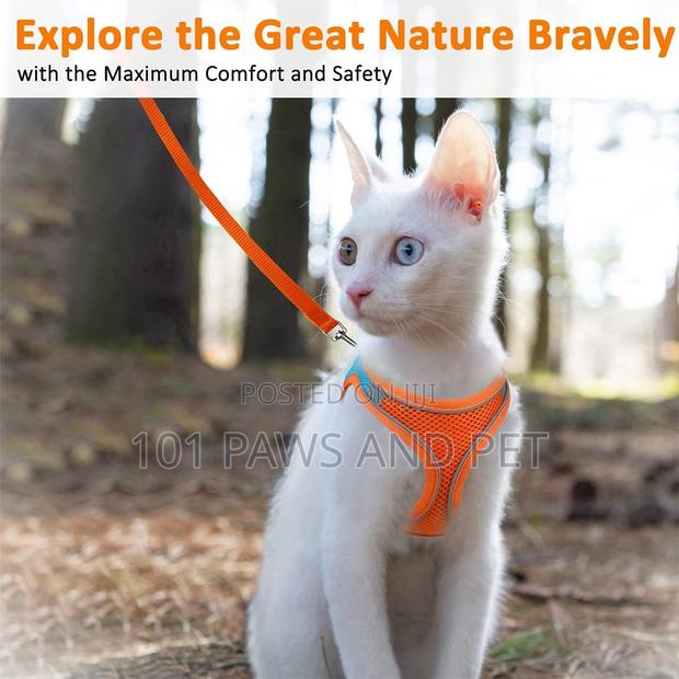 Cat Harness · Photo 1