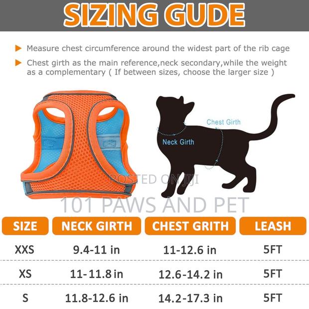 Cat Harness · Photo 5
