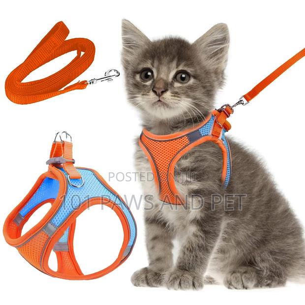 Cat Harness · Photo 2