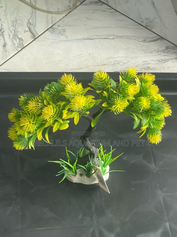 Aquarium Thick Plant · Photo 2