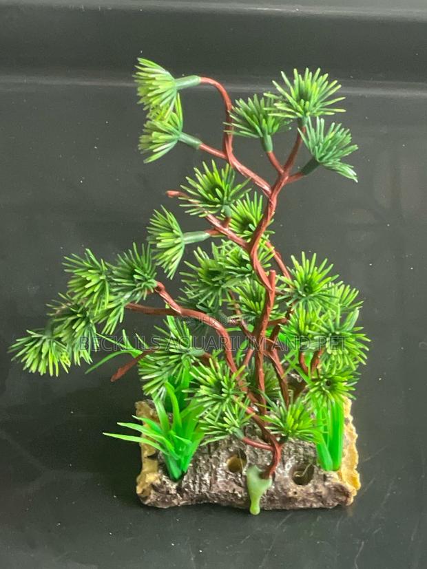 Thick Stand Aquarium Plant · Photo 1