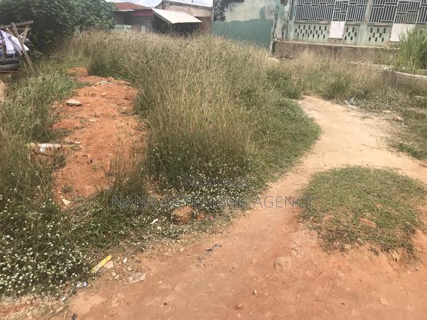 Half Plot for Sale · Photo 3