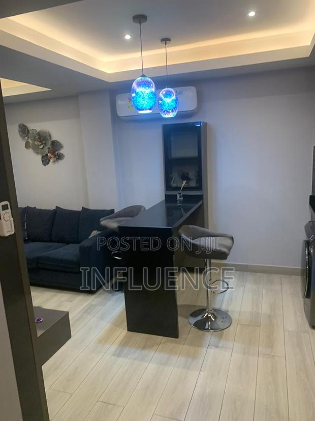 Furnished 1bdrm Apartment in American House Area, East Legon for rent · Photo 5