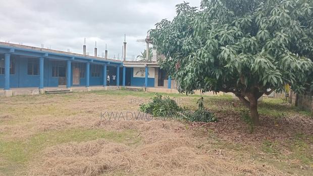 School With Big Compound for Sale · Photo 6