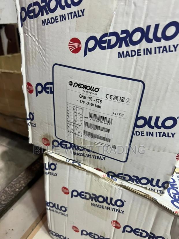 Pedrollo 2hp Stainless _ Pedrollo 2 Horsepower Pump · Photo 8