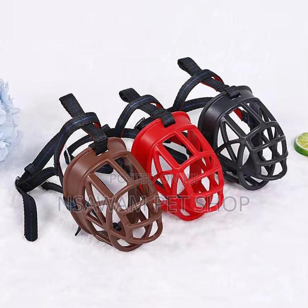 Dog Muzzle · Photo 2