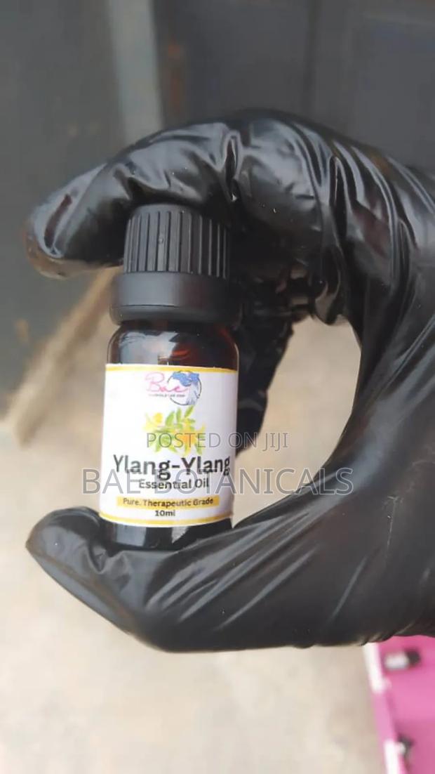 Clove Essential Oil (10ml) · Photo 3