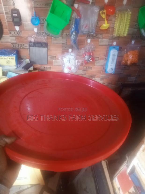 Day Old Feeding Trays · Photo 1