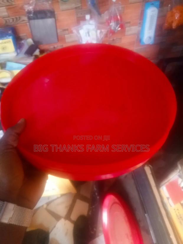 Day Old Feeding Trays · Photo 2