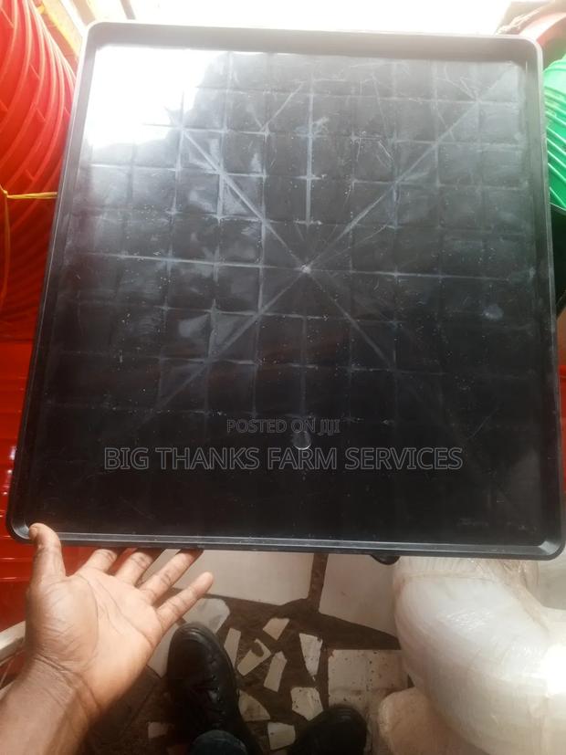 Trays For Day Old Chicks,Big Size · Photo 1