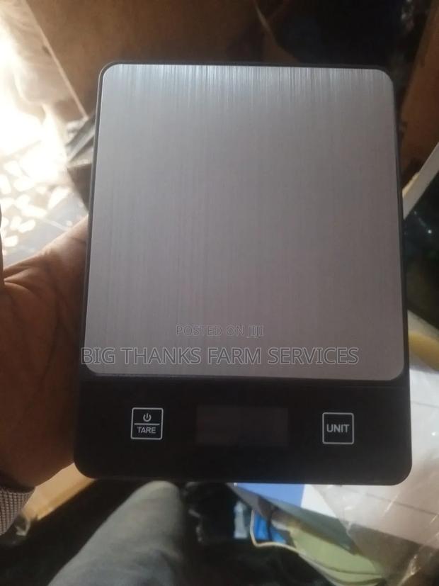 Scales For Weighing Animals And Stuffs Available · Photo 1