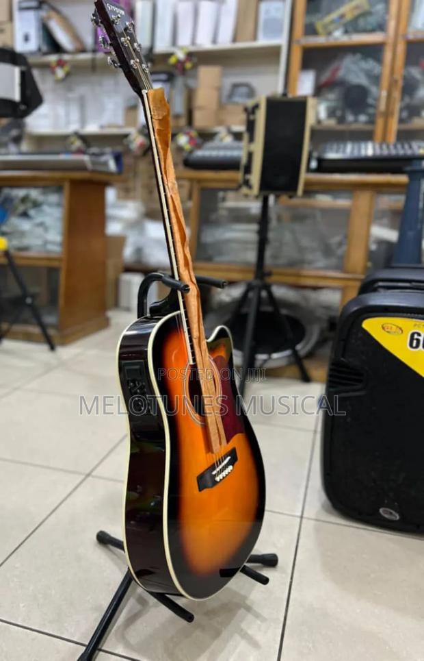 Givson 6-String Professional Semi-Acoustic Guitar · Photo 1