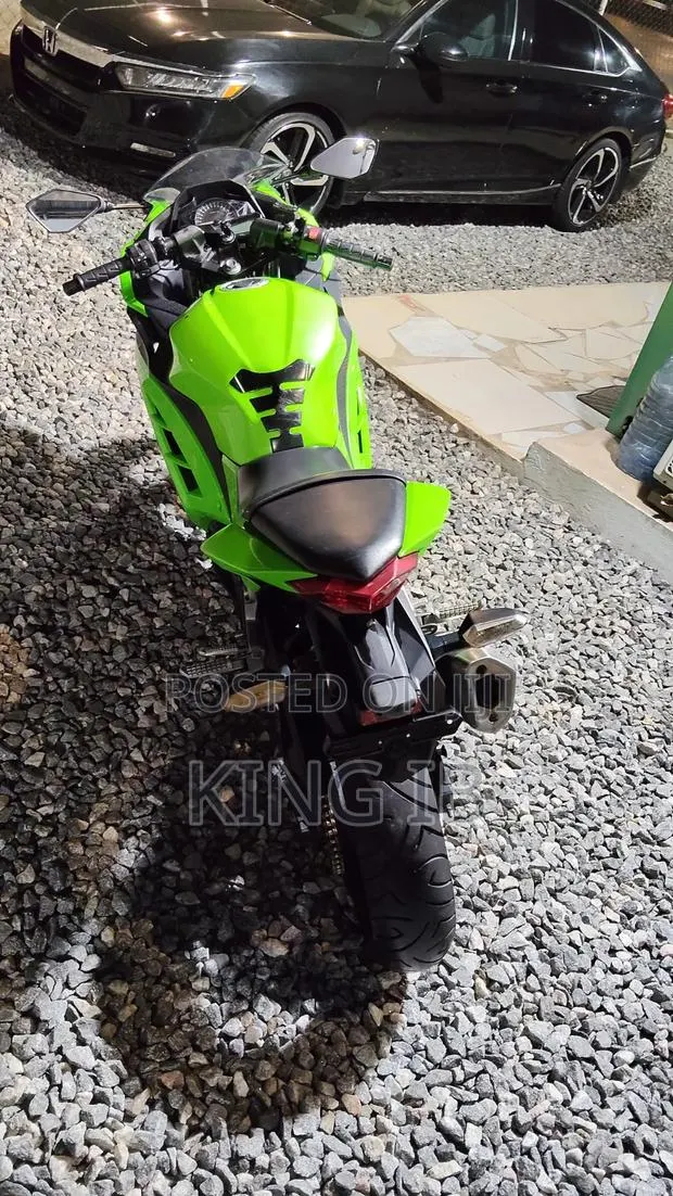 Kawasaki Ninja 300 2018 Green · Photo 1
