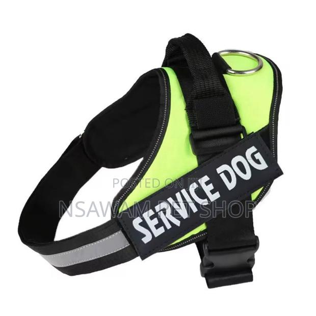 Police Harness · Photo 2