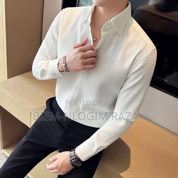 High Quality Executive Long Sleeve Plain Shirts Available in Stock · Photo 3