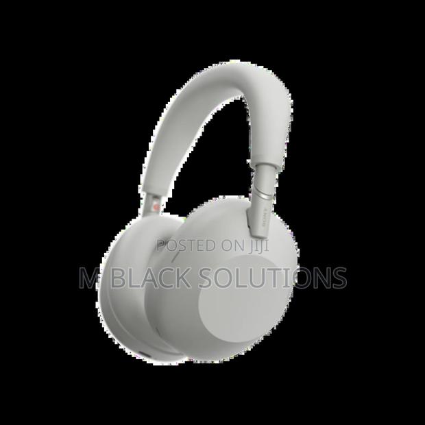 Sony Wh-1000mx6 Wireless Noise Cancellation Headphones Silver · Photo 1
