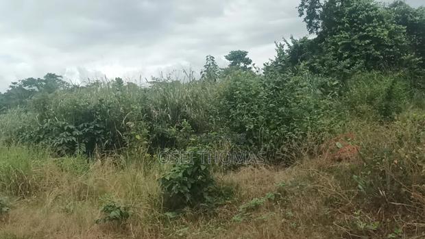 Plot of Land · Photo 2
