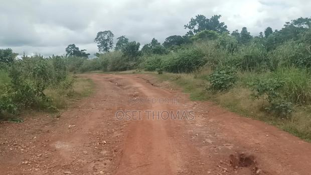 Plot of Land · Photo 3
