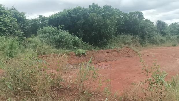 Plot of Land · Photo 6