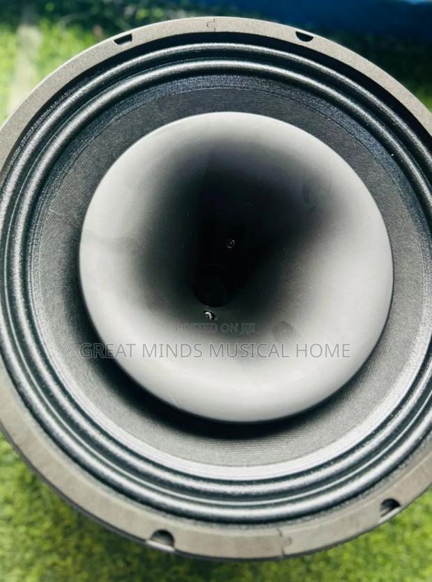 Jac Jt120 12" Coaxial Naked Speakers · Photo 1