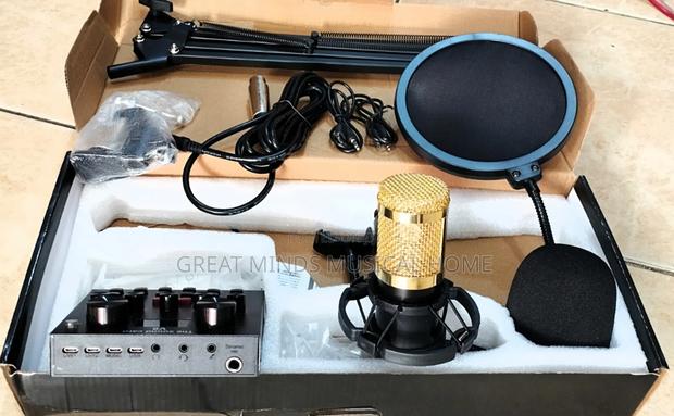 Professional Condenser Microphone Set · Photo 4