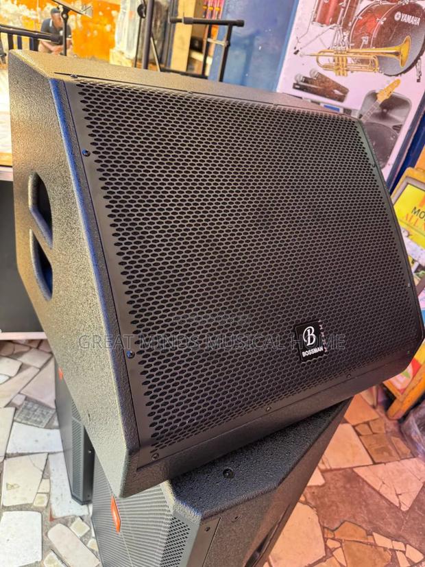 Bossman 15inches Stage Monitor · Photo 1