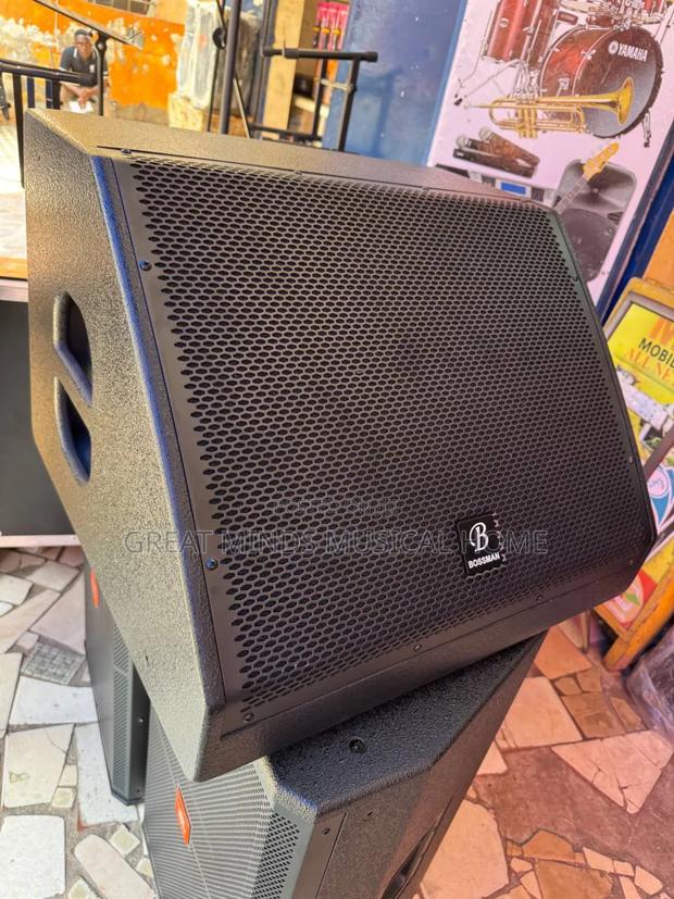 Bossman 15inches Stage Monitor · Photo 4