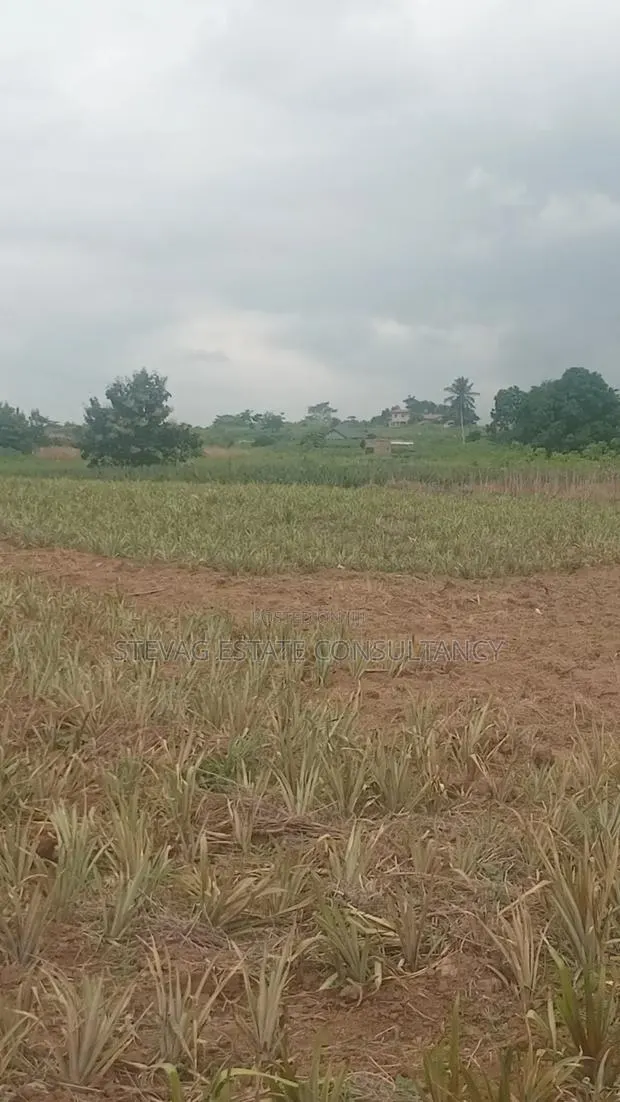 Estate Company Land for Sale at Amasaman Obom ASHIFLA · Photo 1