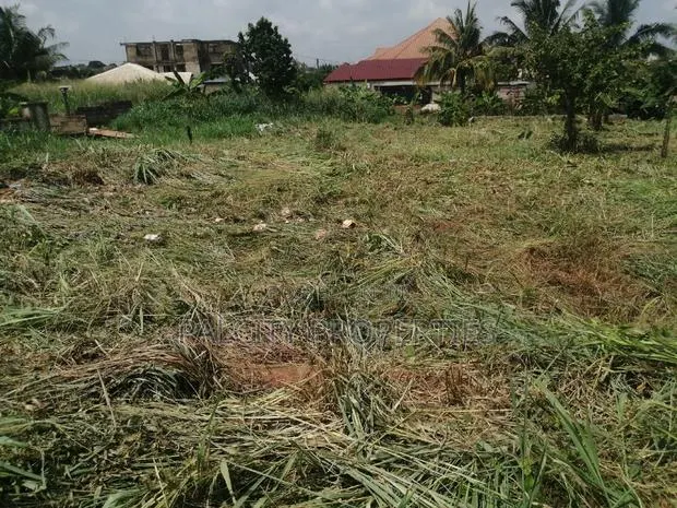 Full Plot of Land for Sale at Santasi Anyinam · Photo 1