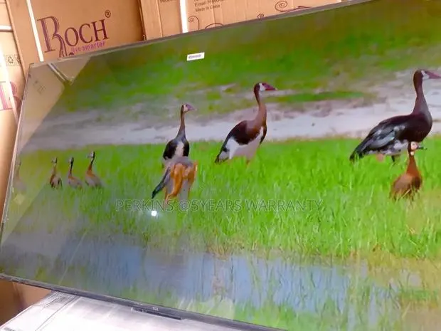 Transform Your Space With TCL 55-Inch Smart Tv · Photo 1