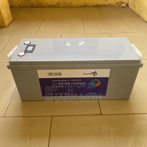 12v Lifepo4 Lithium Battery 200ah Deep Cycle Ion · Photo 2